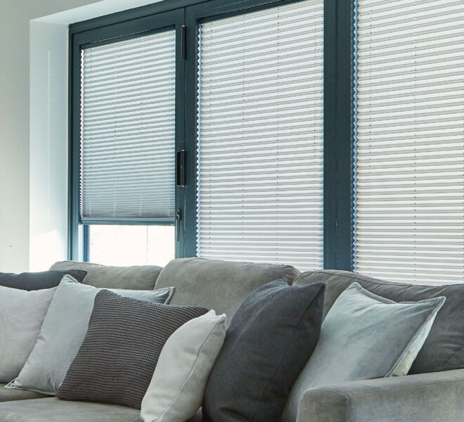 Regency Blinds - Pleated Window Blinds