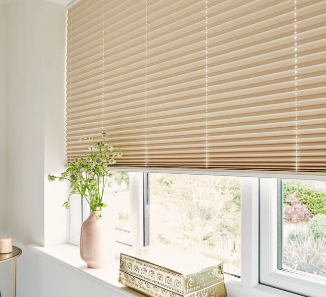 Regency Blinds - Pleated Window Blinds