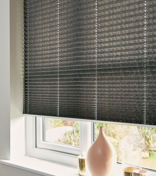 Regency Blinds - Pleated Window Blinds