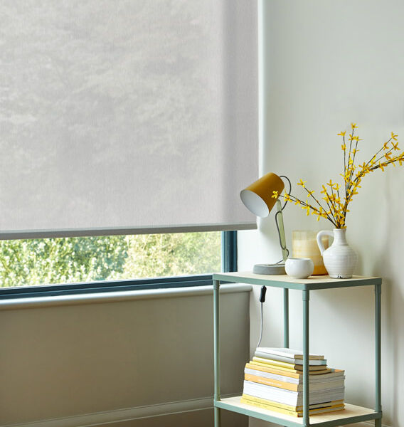 Regency Blinds - Roller Window Blinds